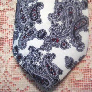 Dino Collection Men's Tie Paisley